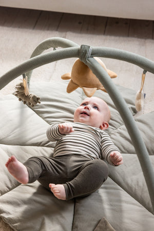 Sebra Spielbogen, Baby Gym Woodland