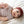 minimalisma Body Seide-Baumwolle 
