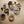Mushie Kinderteller 2er Set | Sage