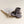 Hvid Babyschuhe Booties Merinowolle Otter – Detailansicht