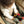 Silly Silas Collant à bretelles | Peanut Blend