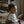 Silly Silas Collant à bretelles | Peanut Blend