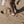 Collant sans pieds 