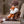 Senger Doudou Renard petit | Rouge