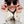 Izipizi Sunglasses 